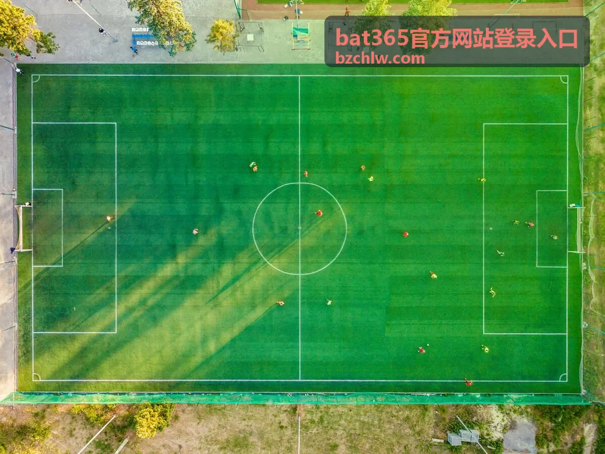 bat365官方网站登录入口 登录通道页面核对示意